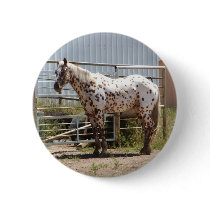 Brown spotted Appaloosa horse Pin