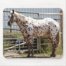 Brown spotted Appaloosa horse Mousepad