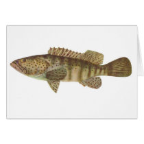 Brown-Spotted Rock Cod - Epinephelus tauvina cards by LisasLair Brown-Spotted Rock Cod - Epinephelus tauvina cards