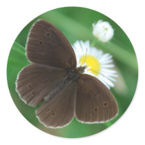 brown stickers