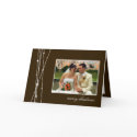 Brown sticks snow Christmas holiday photo greeting card