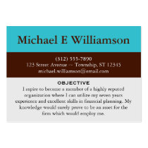 Brown Stripe Blue RESUME Business Cards business cards