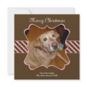 Brown stripe Christmas holiday photo greeting card invitation