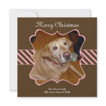 Brown stripe Christmas holiday photo greeting card invitations by FidesDesign Brown stripe Christmas holiday photo greeting card invitations