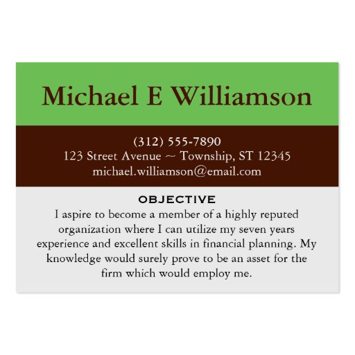 Brown Stripe Green RESUME Business Cards (front side)