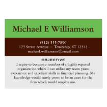 Brown Stripe Green RESUME Business Cards business cards