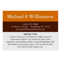 Brown Stripe Orange RESUME Business Cards business cards