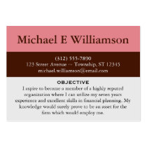 Brown Stripe Pink RESUME Business Cards business cards