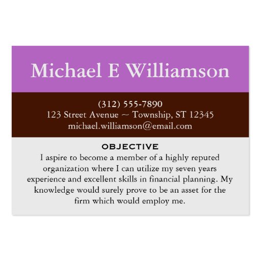Brown Stripe Purple RESUME Business Cards (front side)