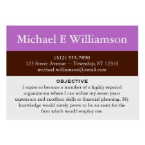 Brown Stripe Purple RESUME Business Cards business cards