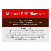 Brown Stripe Red RESUME Business Cards business cards