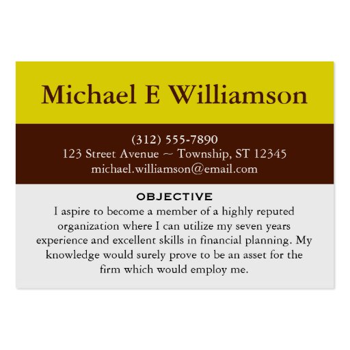 Brown Stripe Yellow RESUME Business Cards (front side)