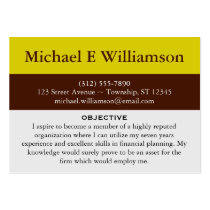 Brown Stripe Yellow RESUME Business Cards business cards