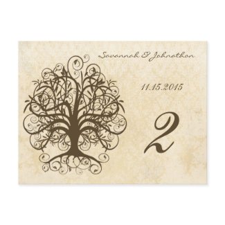 Brown Swirl Tree Table Number Cards postcard