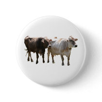 Brown Swiss Cows Pins