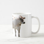 Brown Swiss Cows Mugs