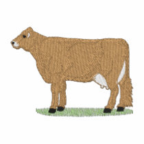 Brown Swiss embroidered shirts