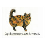 Brown Tabby Cat Postcard