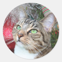 Brown tabby with white Christmas Round Sticker