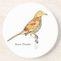 Brown Thrasher coaster coasters