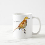Brown Thrasher Coffee Mugs