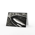 Brown Trout Blank Greeting Card