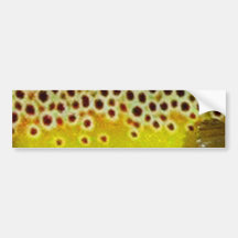 Brown Trout by PatternWear© Bumper Sticker