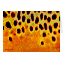 Brown Trout - Card cards