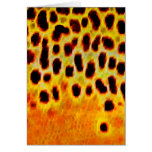 Brown Trout - Card