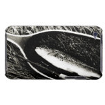 Brown Trout Ipod Touch Case-mate Case