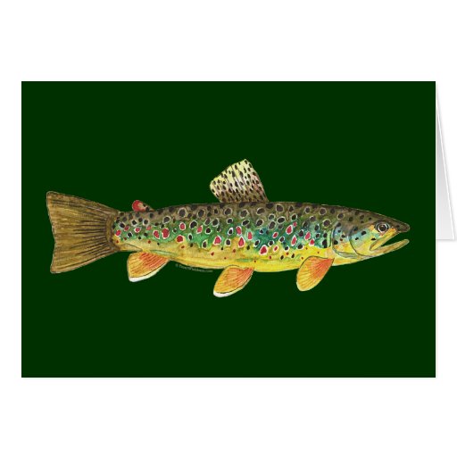 Brown Trout Fishing Card