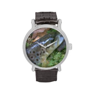 Brown trout fly fishing watch