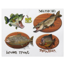Brown Trout flyers
