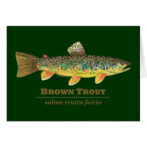 Brown Trout Latin Ichthyology Cards