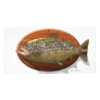 Brown Trout Photo Greeting Card