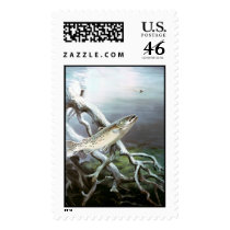 Brown Trout   postage