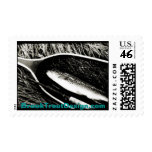 Brown Trout Postage