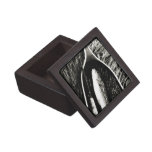 Brown Trout Premium Jewelry Boxes