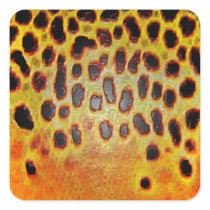 Brown Trout - Stickers