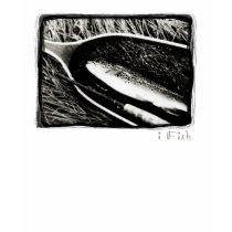 Brown Trout t-shirts