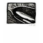 Brown Trout Shirt