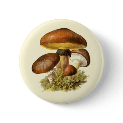 Brown Vintage Mushroom Button by mosswood