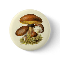 Brown Vintage Mushroom buttons by mosswood Brown Vintage Mushroom buttons