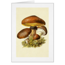 Brown Vintage Mushroom cards
