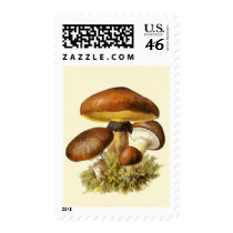 Brown Vintage Mushroom postage