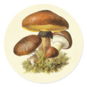 Brown Vintage Mushroom stickers by mosswood Brown Vintage Mushroom stickers