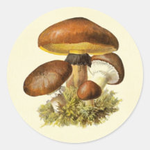Brown Vintage Mushroom Sticker