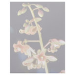 Brown Vitex spp. flowers Letterhead