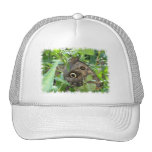 Brown Winged Butterfly Baseball Cap Hats