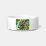 Brown Winged Butterfly Pet Bowl Cat Water Bowls